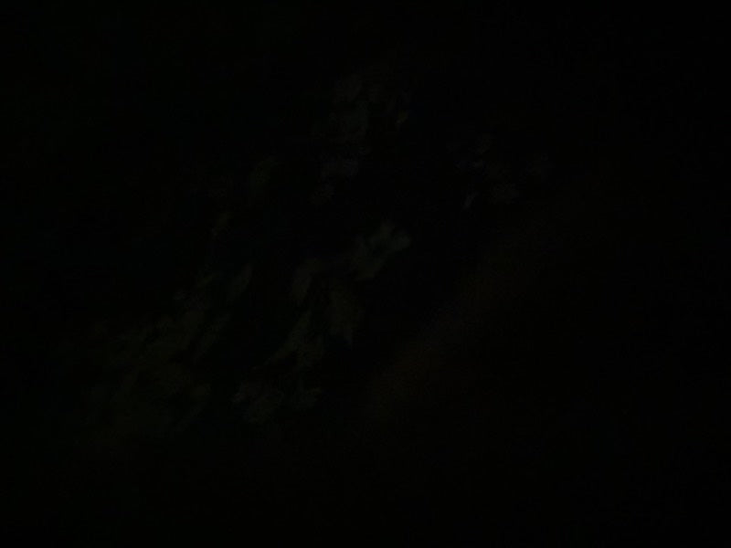 bandanas to bring out your masc lesbian