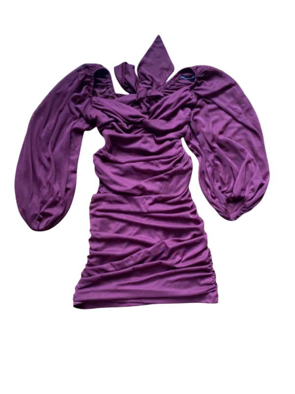 plum ruched long sleeve dress