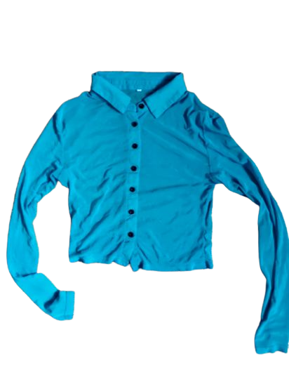 teal button down long sleeve mesh top